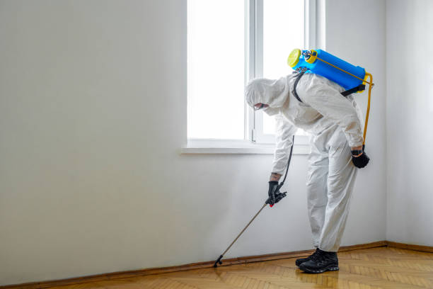 Best Commercial Pest Control  in Spring Valley, IL